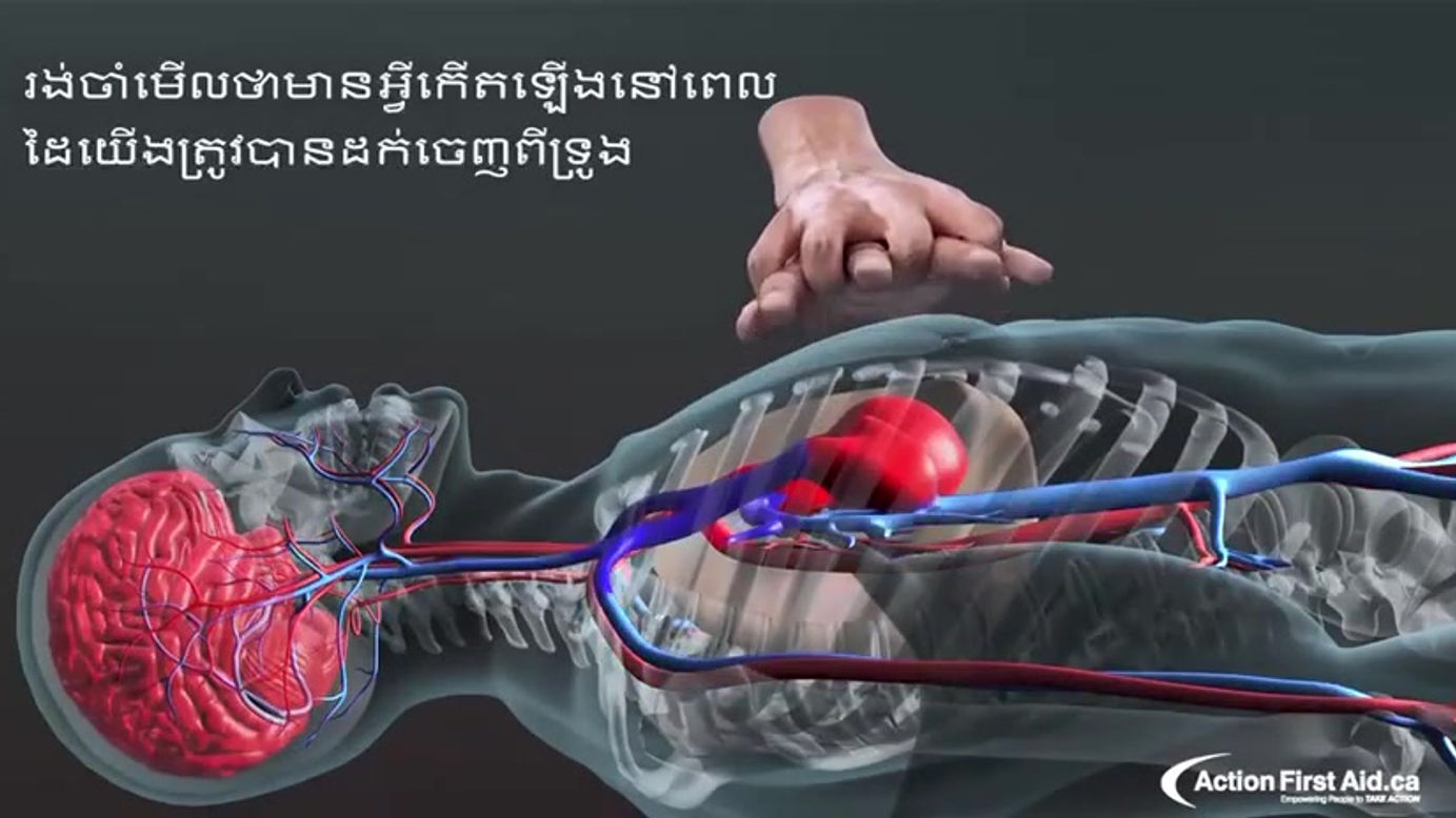 រាងកាយមនុស្ស និង CPR ជា 3D CPR in Action : A 3D look inside the body in Khmer